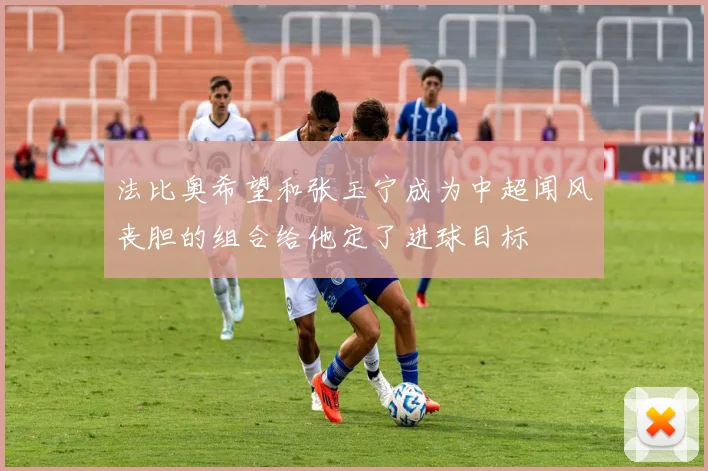 法比奥希望和张玉宁成为中超闻风丧胆的组合给他定了进球目标